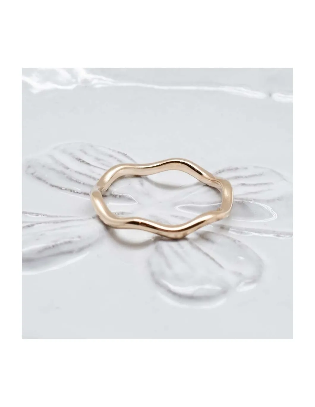 LISON - BAGUE LAKE FOREST