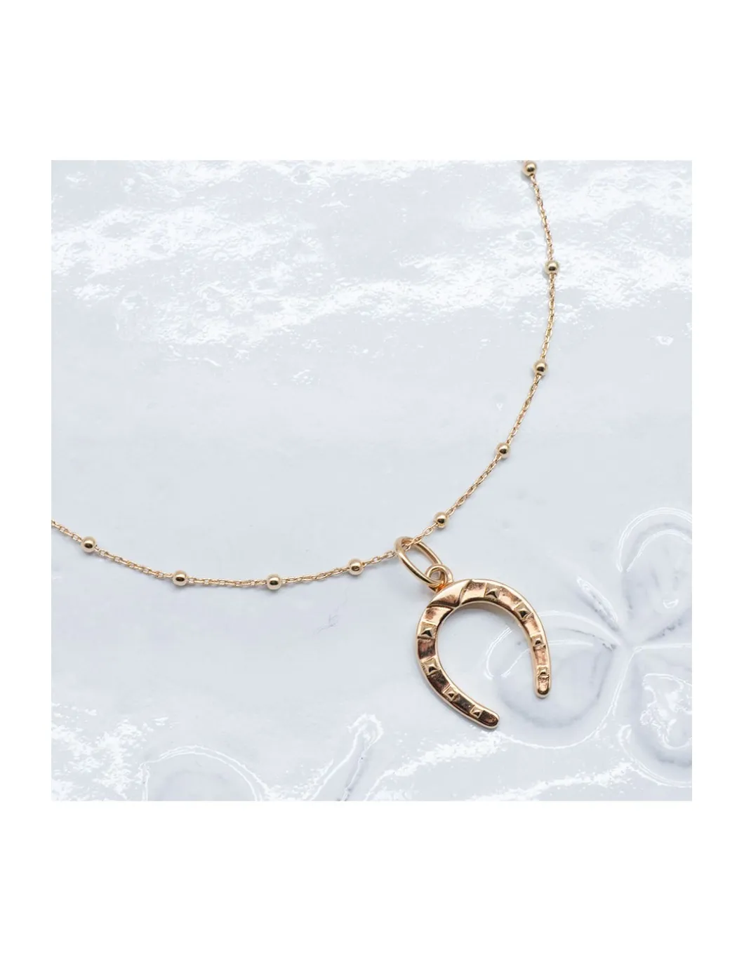 MÉDAILLE FER À CHEVAL