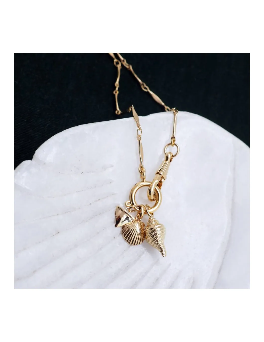 MÉDAILLES DENT DE REQUIN, COQUILLAGE ET ESCARGOT DE MER (25€ à 29€)
