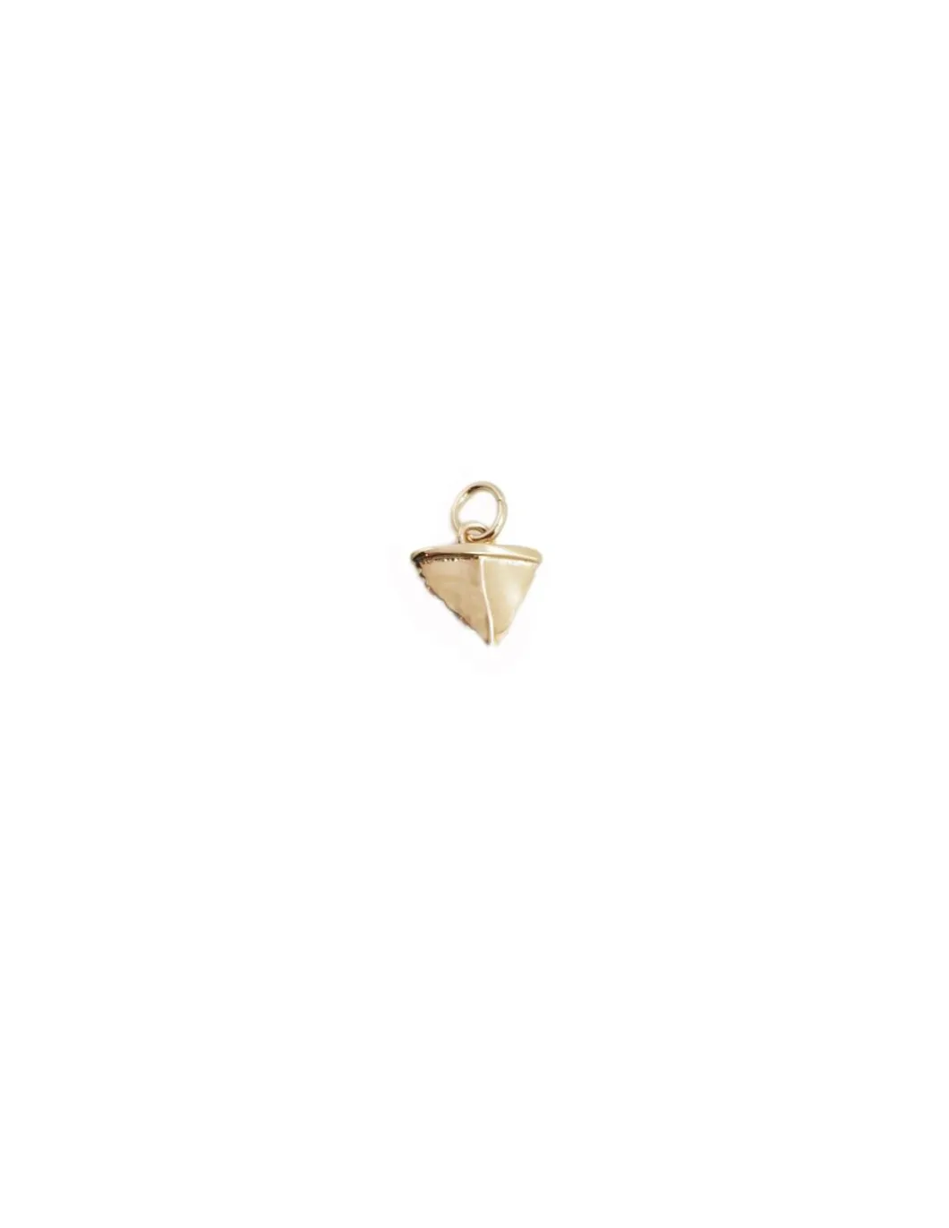 MÉDAILLES DENT DE REQUIN, COQUILLAGE ET ESCARGOT DE MER (25€ à 29€)